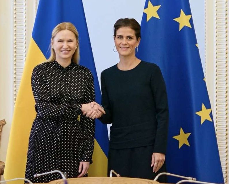Розраховуємо на допомогу Ради Європи в уніфікації «дитячих санкцій»